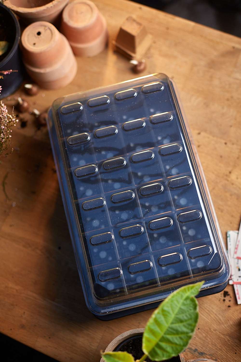 Miniväxthus med vattenreservoar